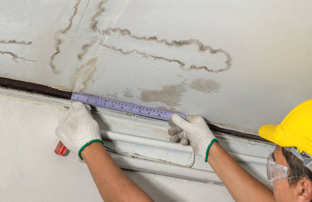 Reliable Water Damage contractor in Needham, MA by Water Damage Irwin
